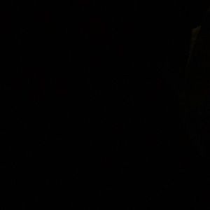 Meet your Posher, Ari